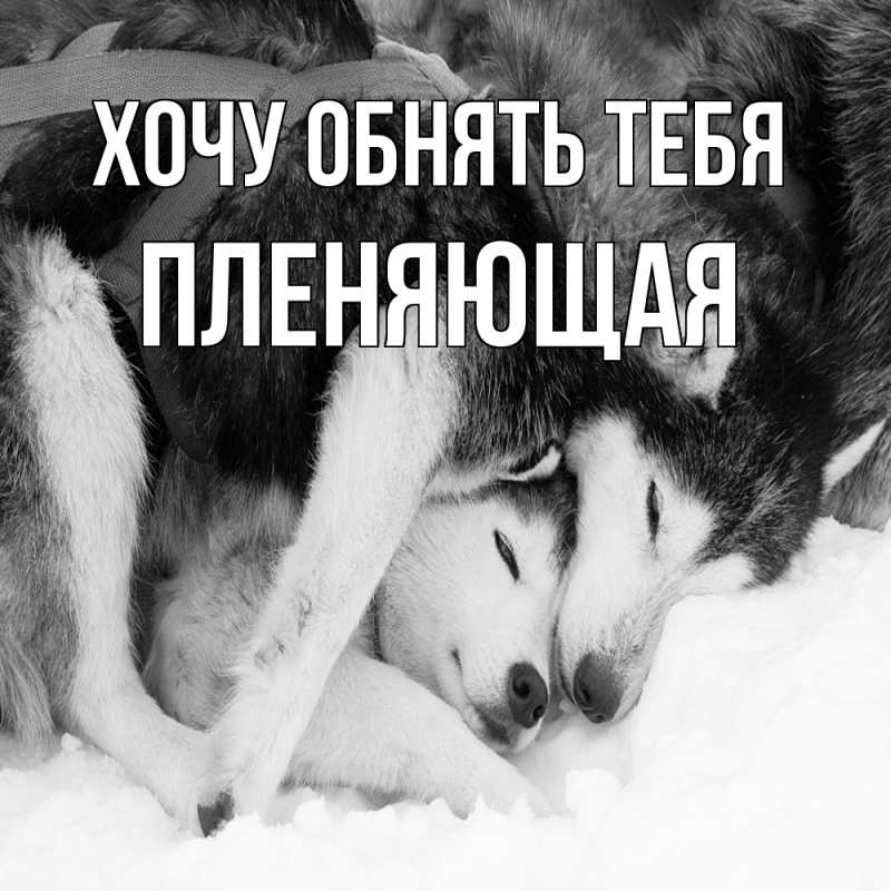 Картинка Хочу обнять тебя, Пленяющая