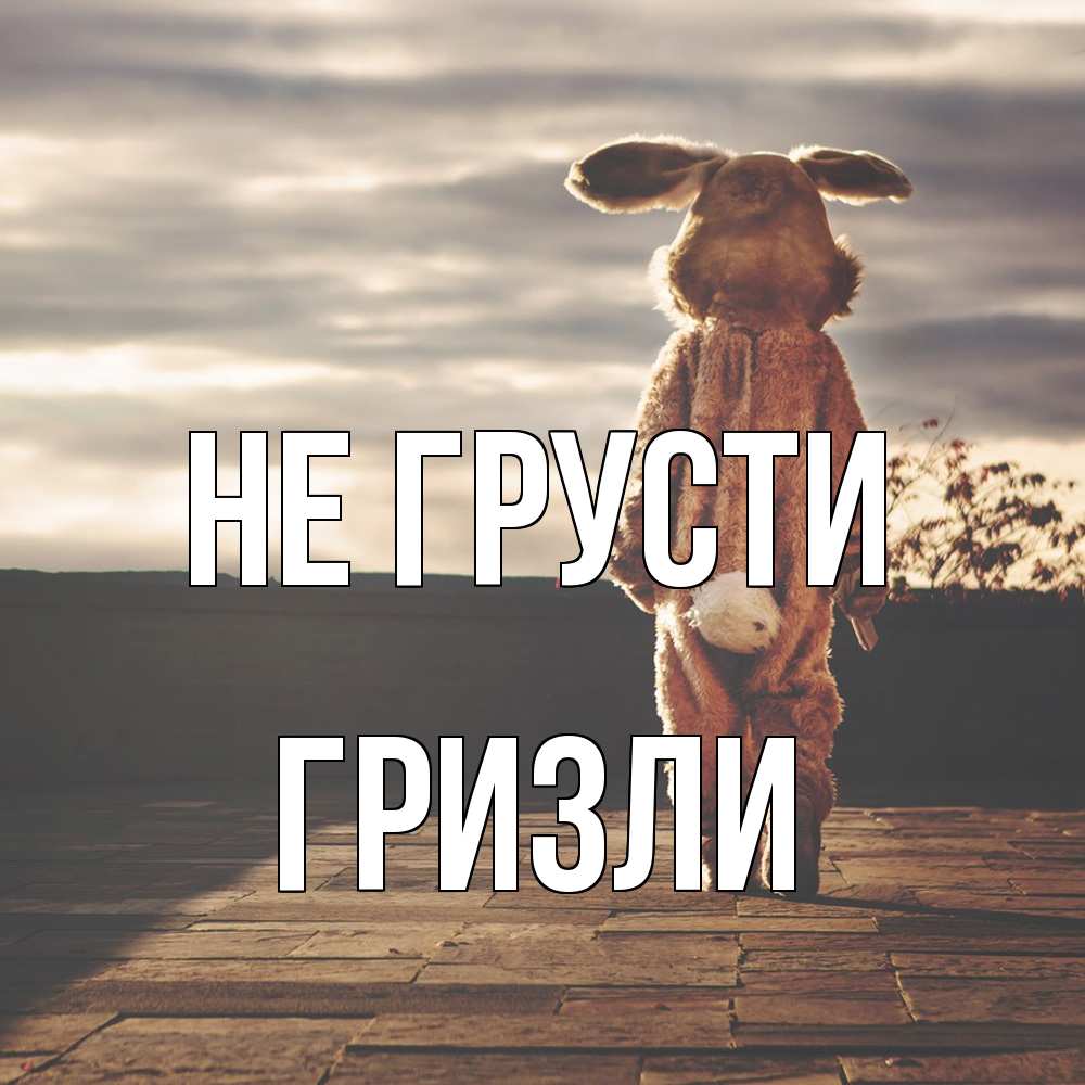 Открытка на каждый день с именем, Гризли Не грусти со спины Прикольная открытка с пожеланием онлайн скачать бесплатно 