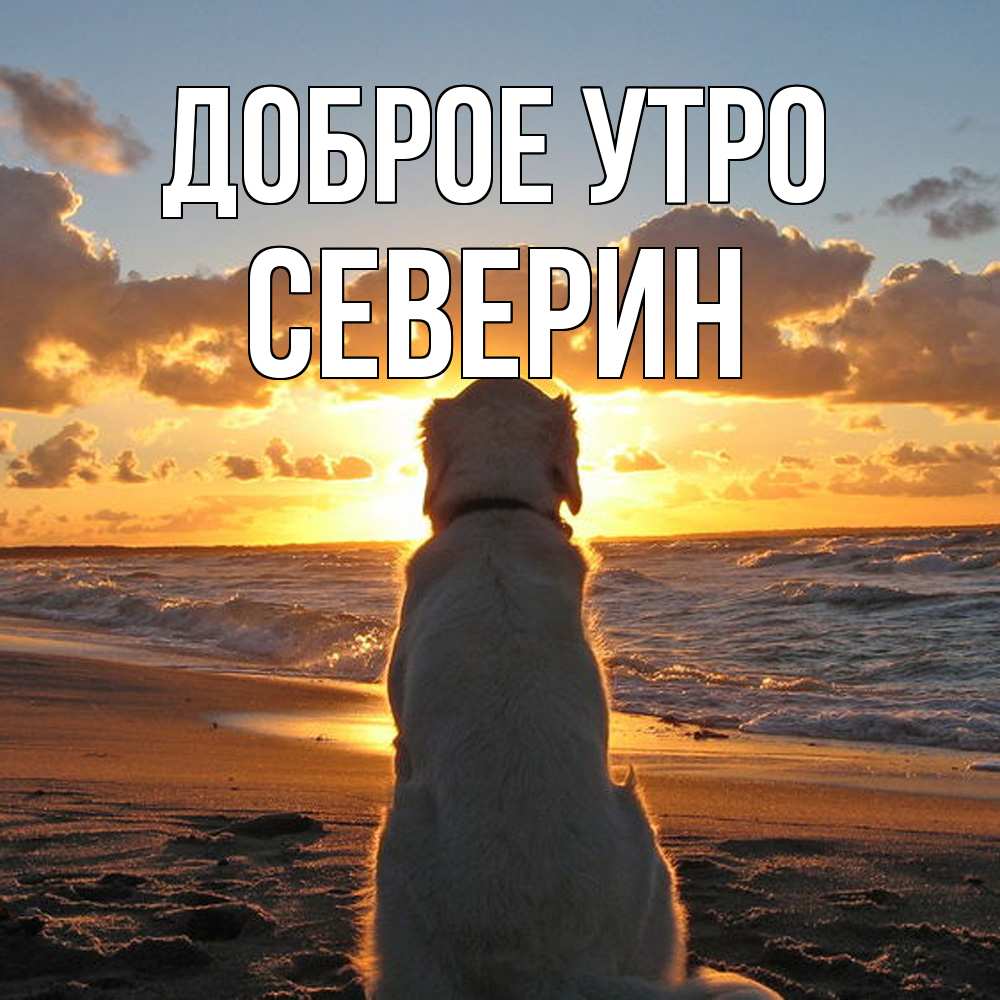 Открытка на каждый день с именем, Северин Доброе утро восход солнца Прикольная открытка с пожеланием онлайн скачать бесплатно 