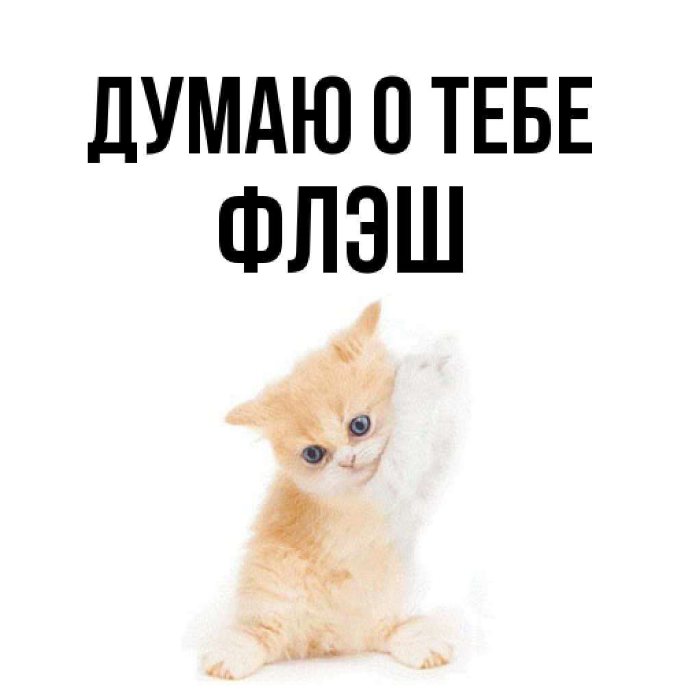 Открытка на каждый день с именем, Флэш Думаю о тебе зверушки и милота Прикольная открытка с пожеланием онлайн скачать бесплатно 