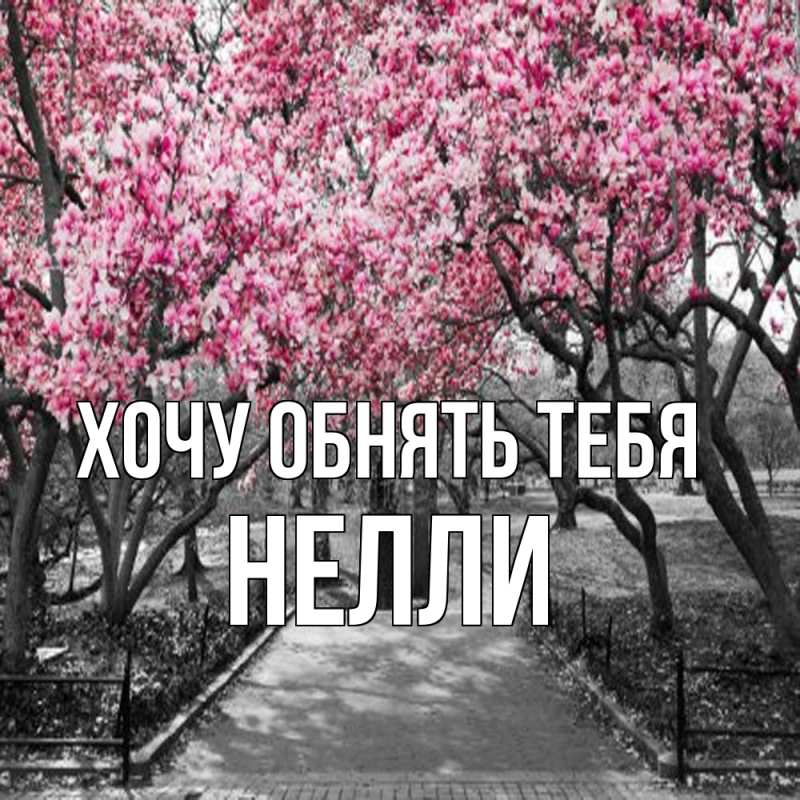Картинка Хочу обнять тебя, Нелли