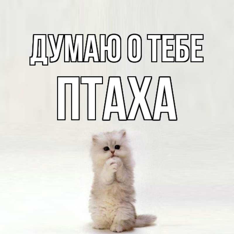 Картинка Думаю о тебе, Птаха