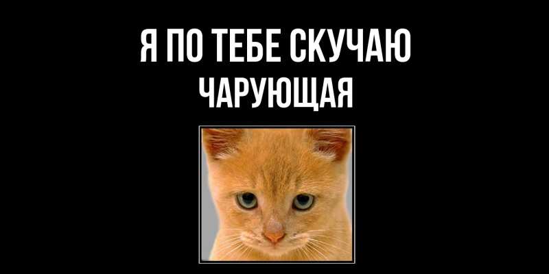 Картинка Я по тебе скучаю, Чаpующая