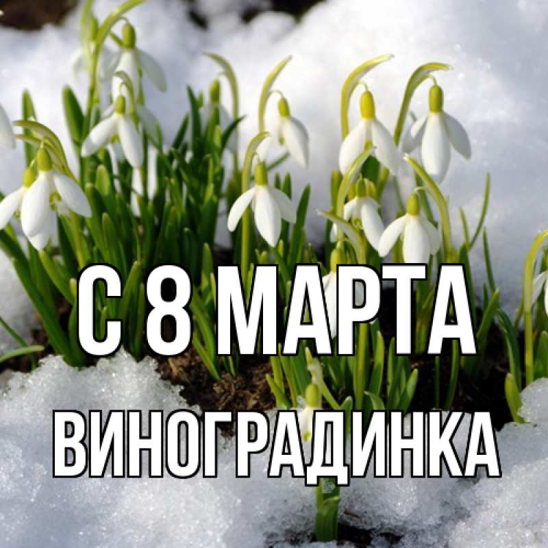 Картинка C 8 МАРТА, виноградинка