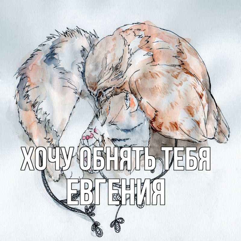 Картинка Хочу обнять тебя, Евгения