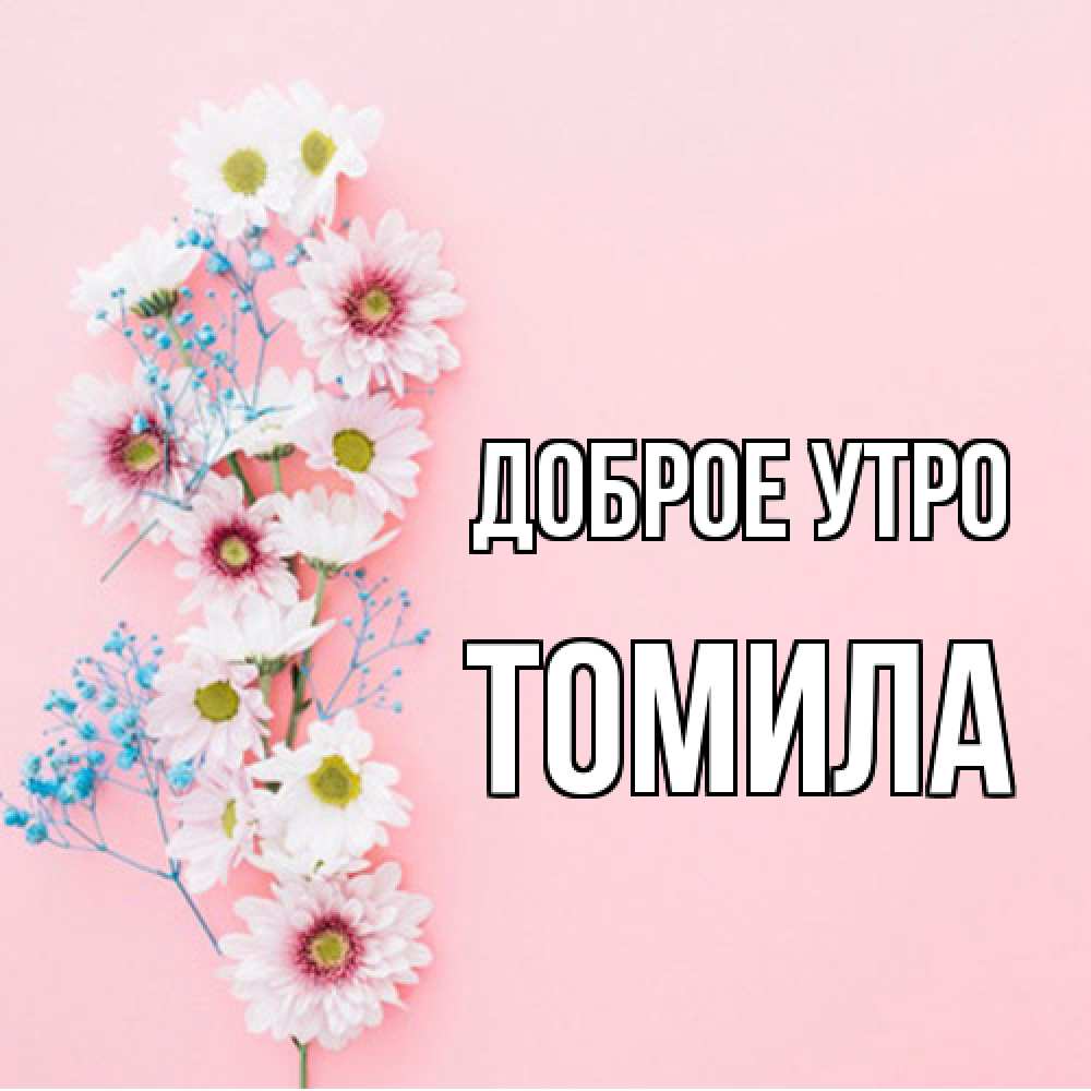 Открытка на каждый день с именем, Томила Доброе утро цветы с подписью Прикольная открытка с пожеланием онлайн скачать бесплатно 