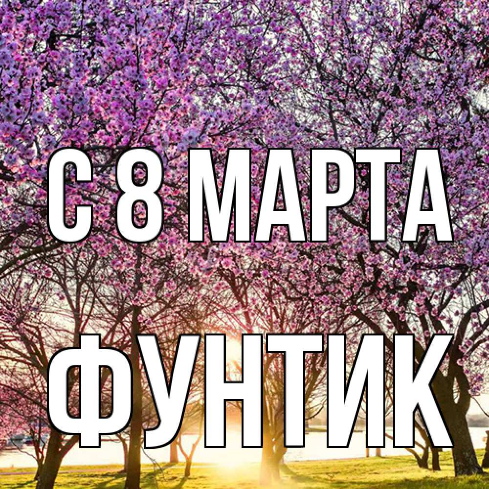 Открытка на каждый день с именем, фунтик C 8 МАРТА международный женский день Прикольная открытка с пожеланием онлайн скачать бесплатно 