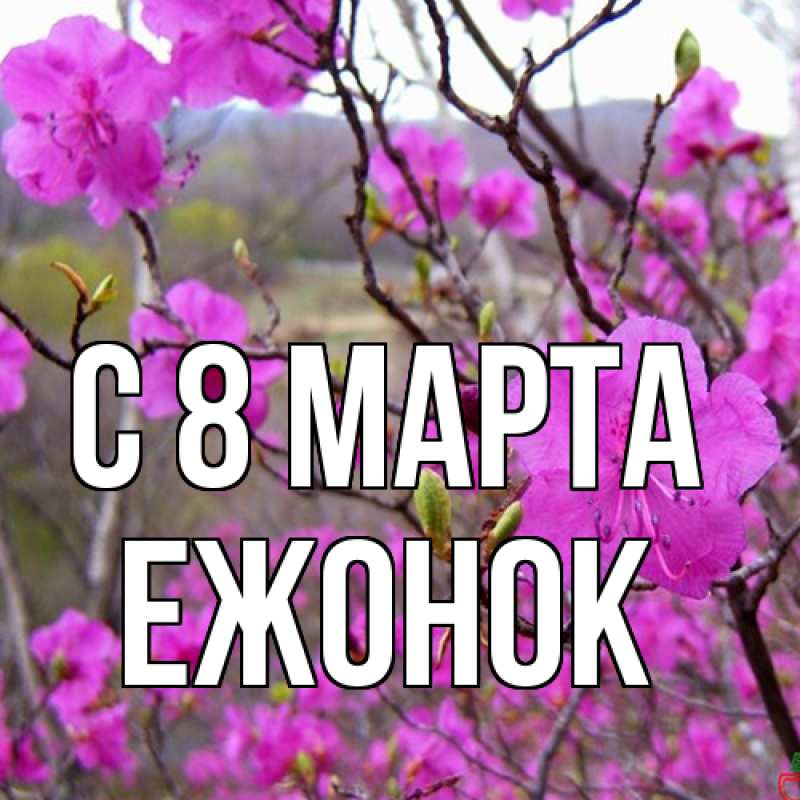 Картинка C 8 МАРТА, Ежонок