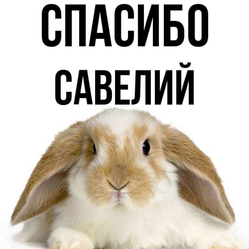 Картинка Спасибо, Савелий