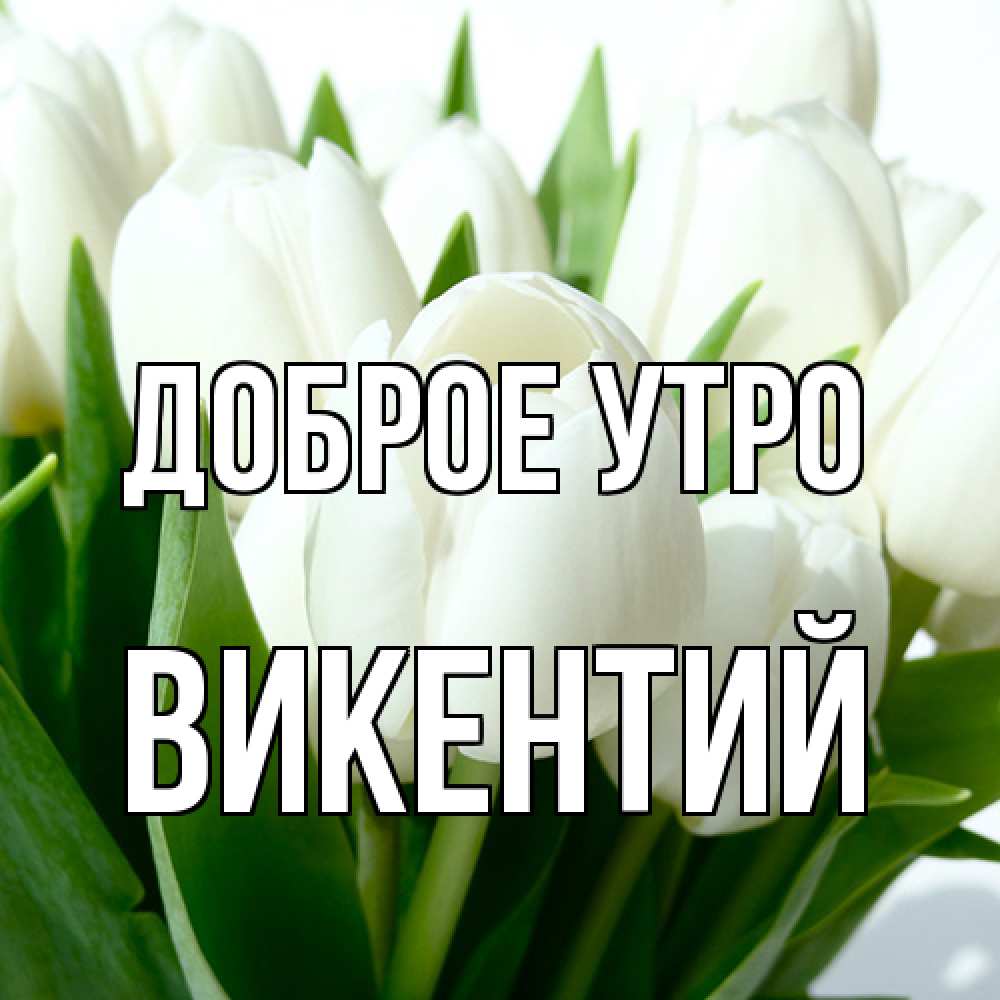 Открытка на каждый день с именем, Викентий Доброе утро открытки на каждый день по именам Прикольная открытка с пожеланием онлайн скачать бесплатно 