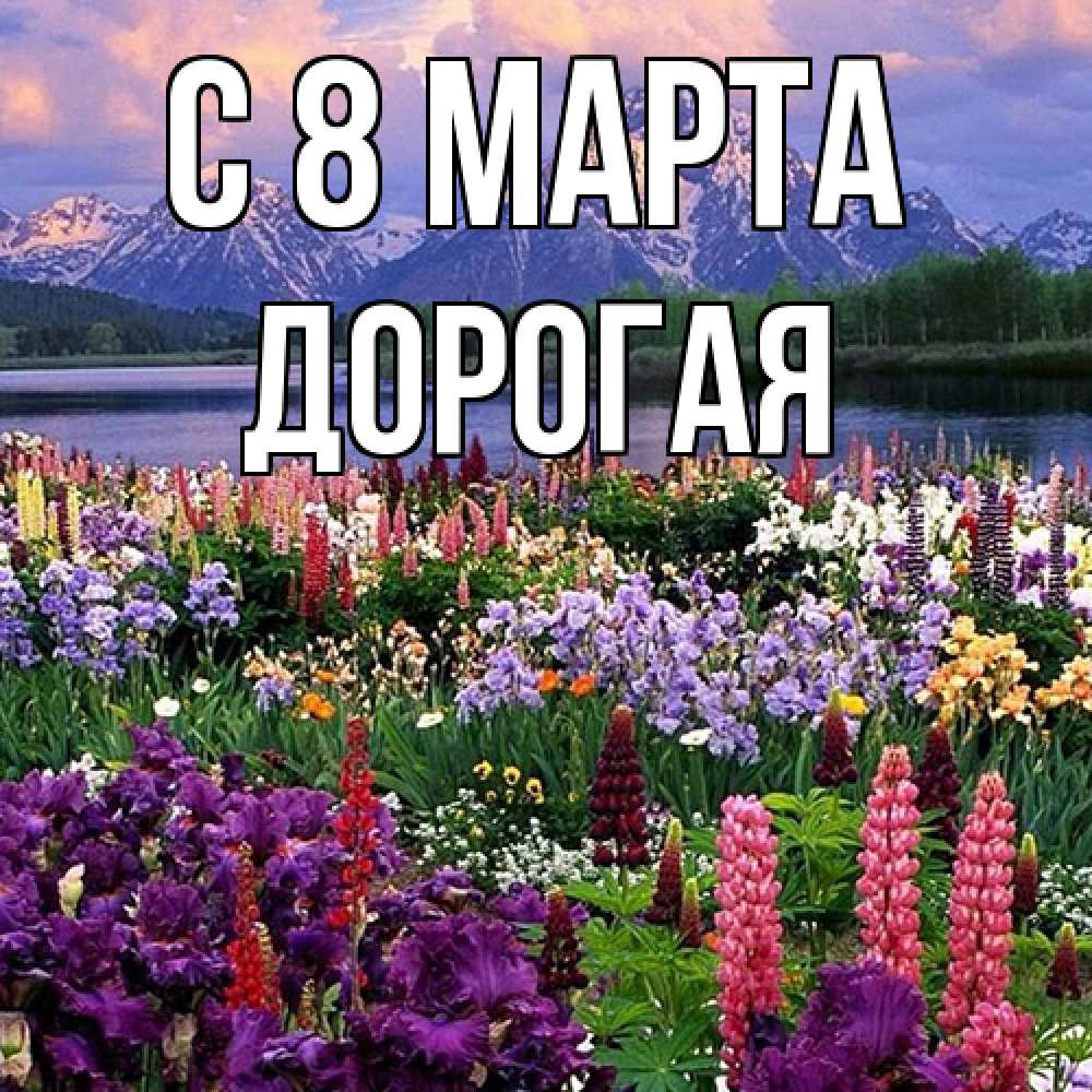 Открытка на каждый день с именем, Дорогая C 8 МАРТА международный женский день Прикольная открытка с пожеланием онлайн скачать бесплатно 