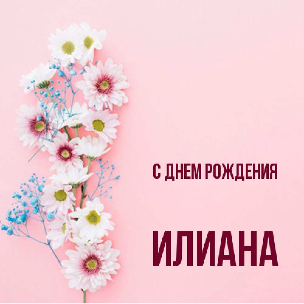 Открытка на каждый день с именем, Илиана С днем рождения Родная моя с днем рождения тебя картинка с цветами белыми и голубыми Прикольная открытка с пожеланием онлайн скачать бесплатно 