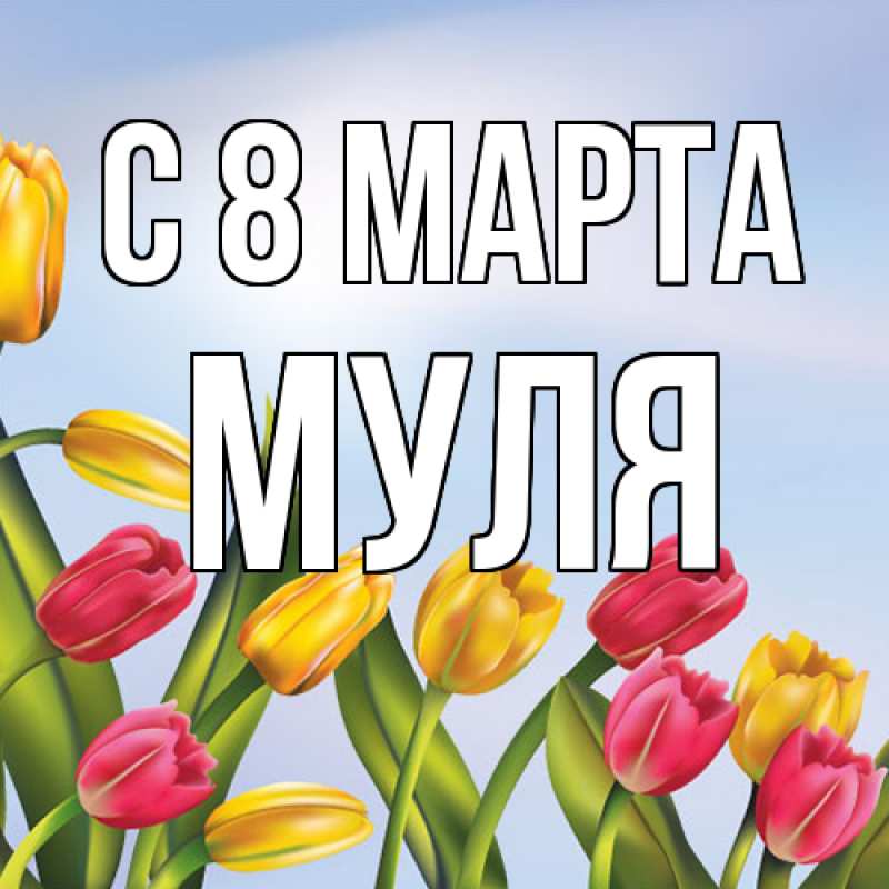 Картинка C 8 МАРТА, Муля