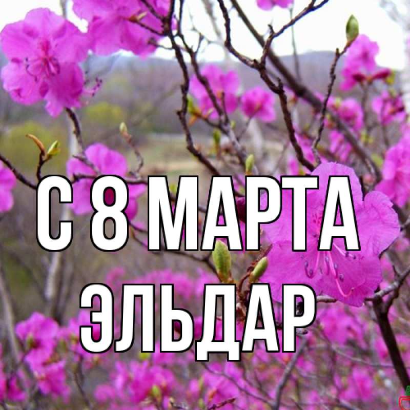 Картинка C 8 МАРТА, Эльдар