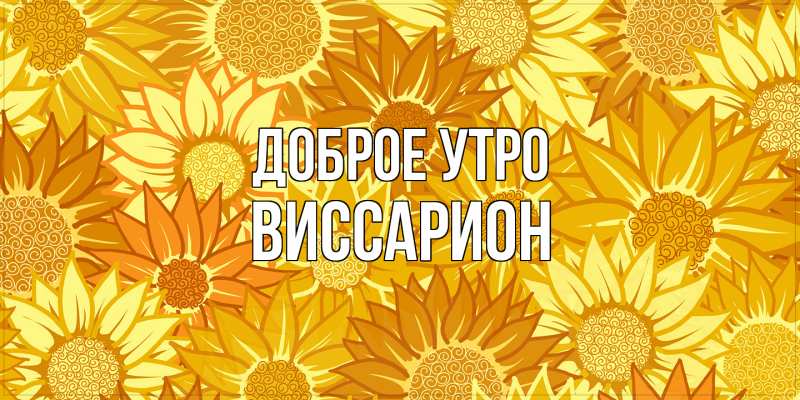 Картинка Доброе утро, Виссарион