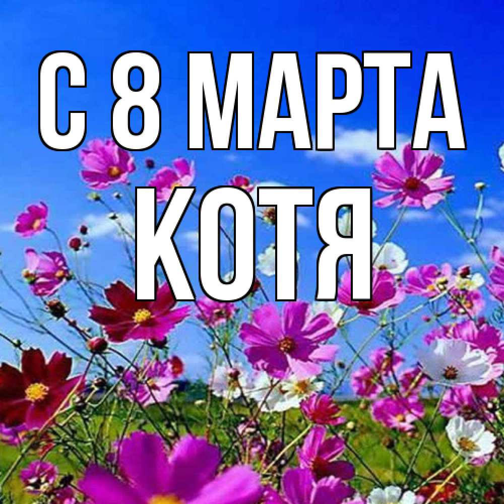 Открытка на каждый день с именем, Котя C 8 МАРТА цветы Прикольная открытка с пожеланием онлайн скачать бесплатно 