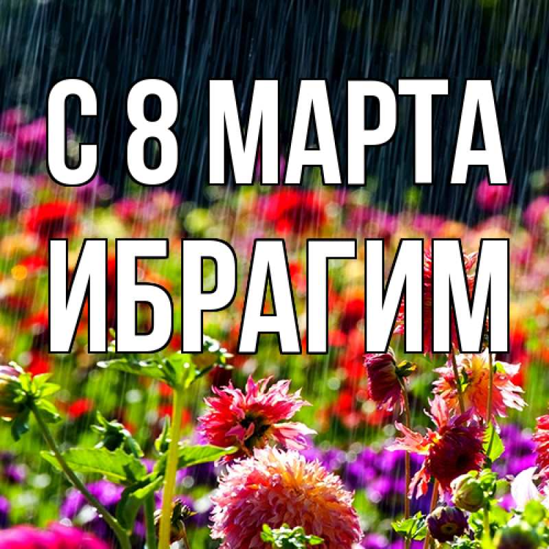 Картинка C 8 МАРТА, Ибрагим