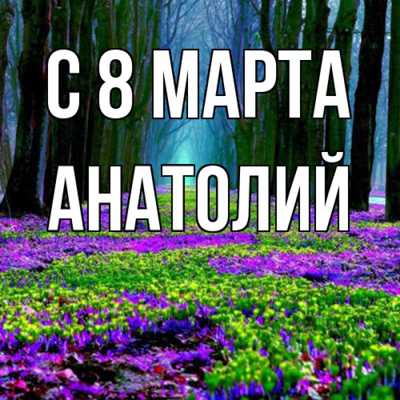 Картинка C 8 МАРТА, Анатолий