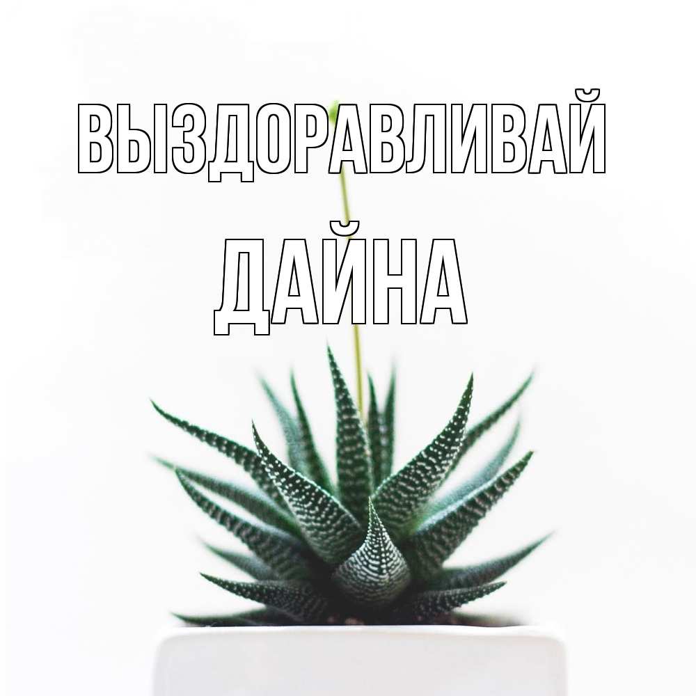 Открытка на каждый день с именем, Дайна Выздоравливай короче это непонятная колючка Прикольная открытка с пожеланием онлайн скачать бесплатно 