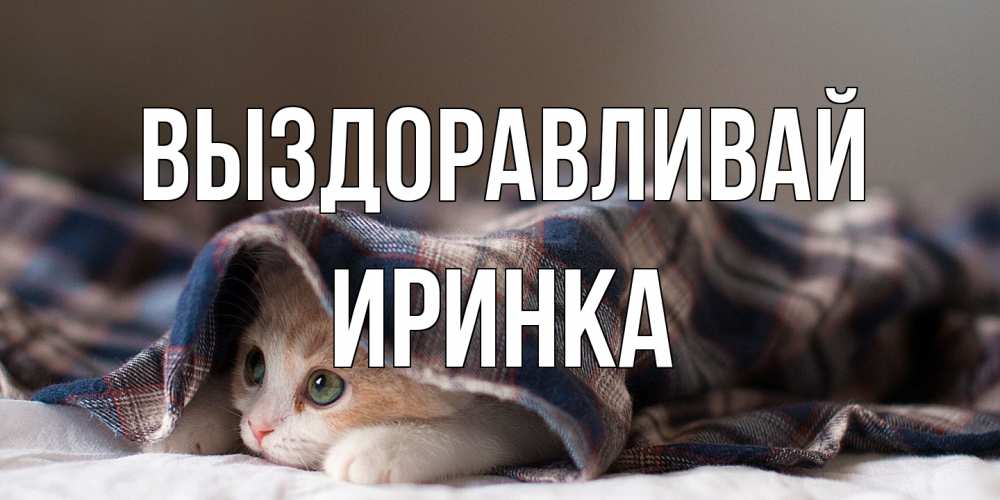 Открытка на каждый день с именем, Иринка Выздоравливай не болейте с котиком Прикольная открытка с пожеланием онлайн скачать бесплатно 