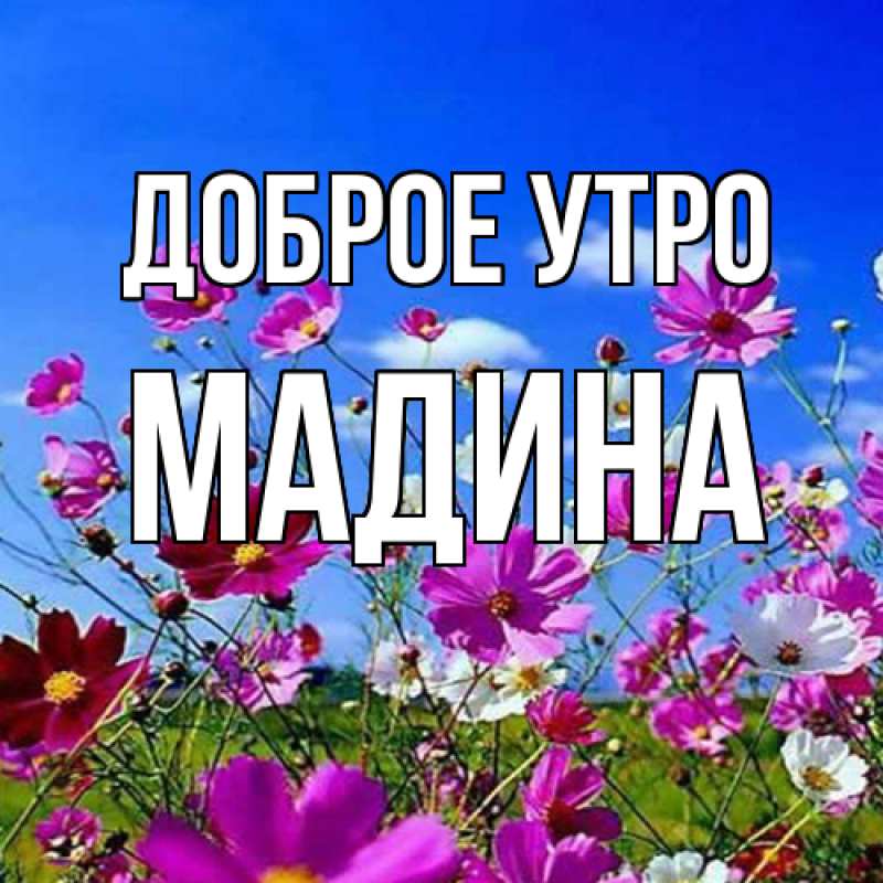 Картинка Доброе утро, Мадина