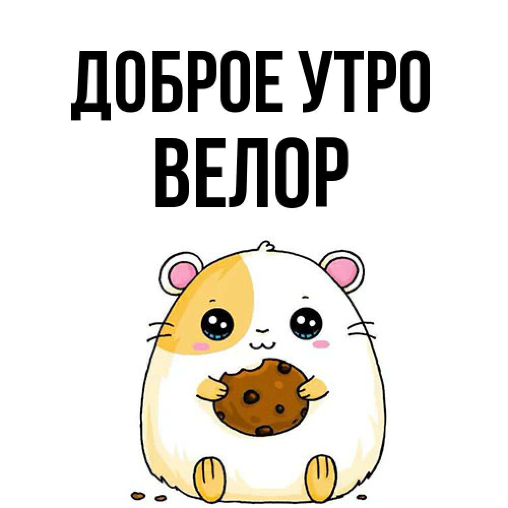 Открытка на каждый день с именем, Велор Доброе утро есть печеньку. Утречко Прикольная открытка с пожеланием онлайн скачать бесплатно 