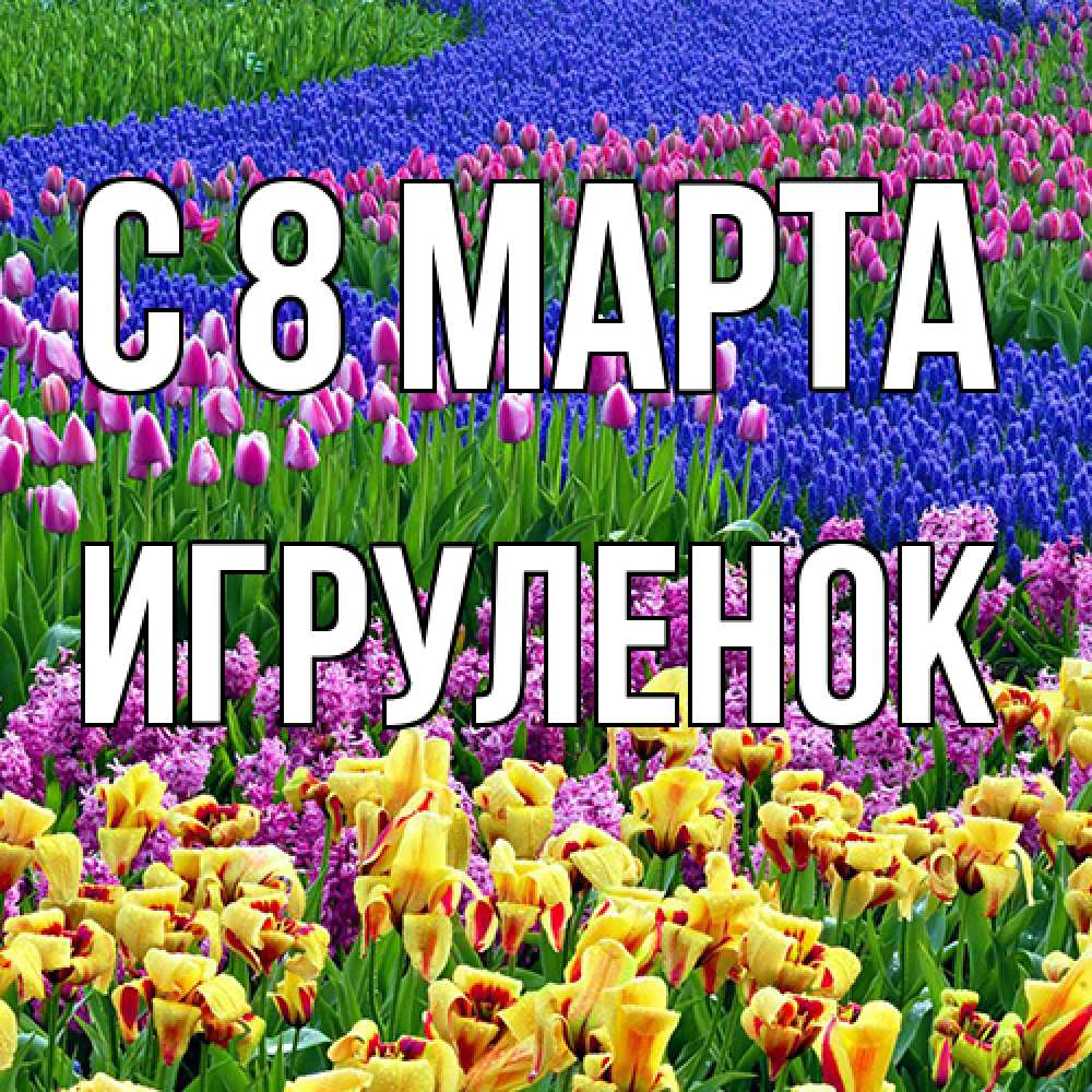 Открытка на каждый день с именем, Игpуленок C 8 МАРТА цветы Прикольная открытка с пожеланием онлайн скачать бесплатно 