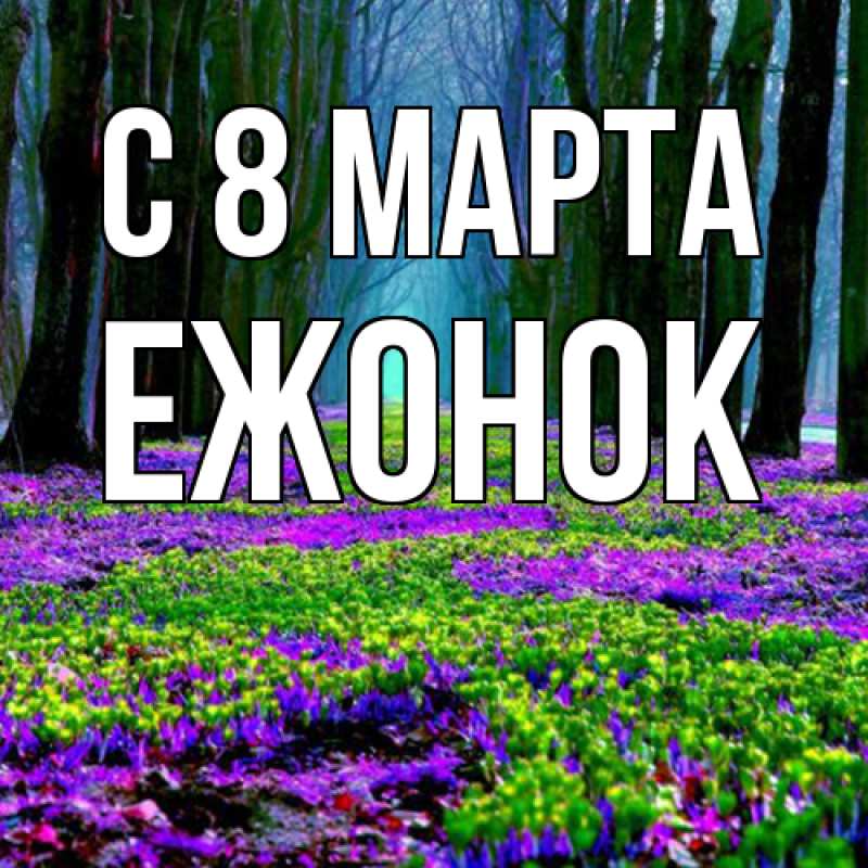 Картинка C 8 МАРТА, Ежонок