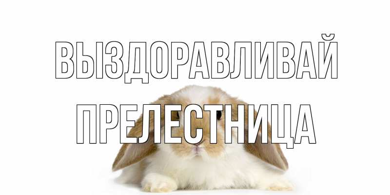 Картинка Выздоравливай, Прелестница