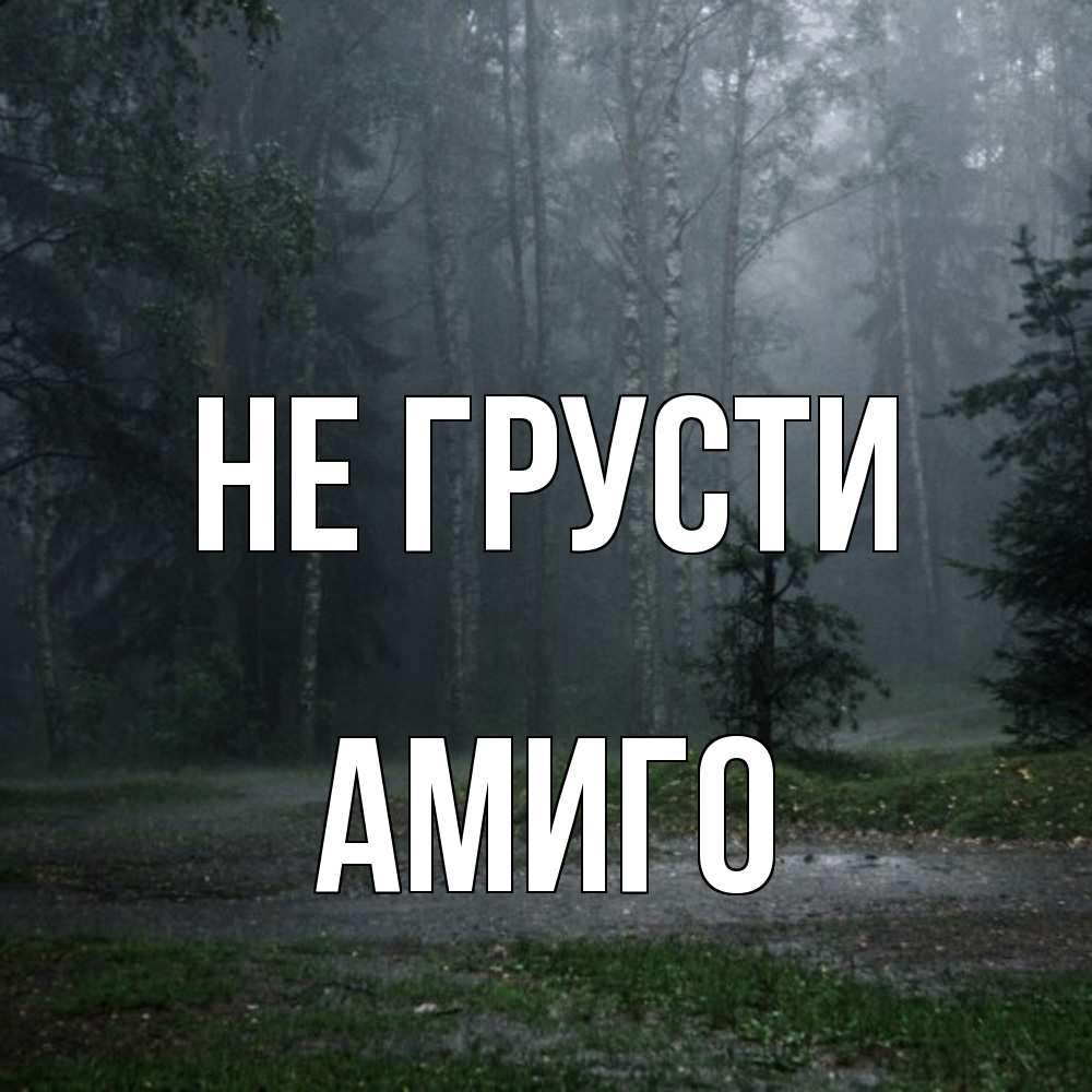 Открытка на каждый день с именем, Амиго Не грусти осень Прикольная открытка с пожеланием онлайн скачать бесплатно 