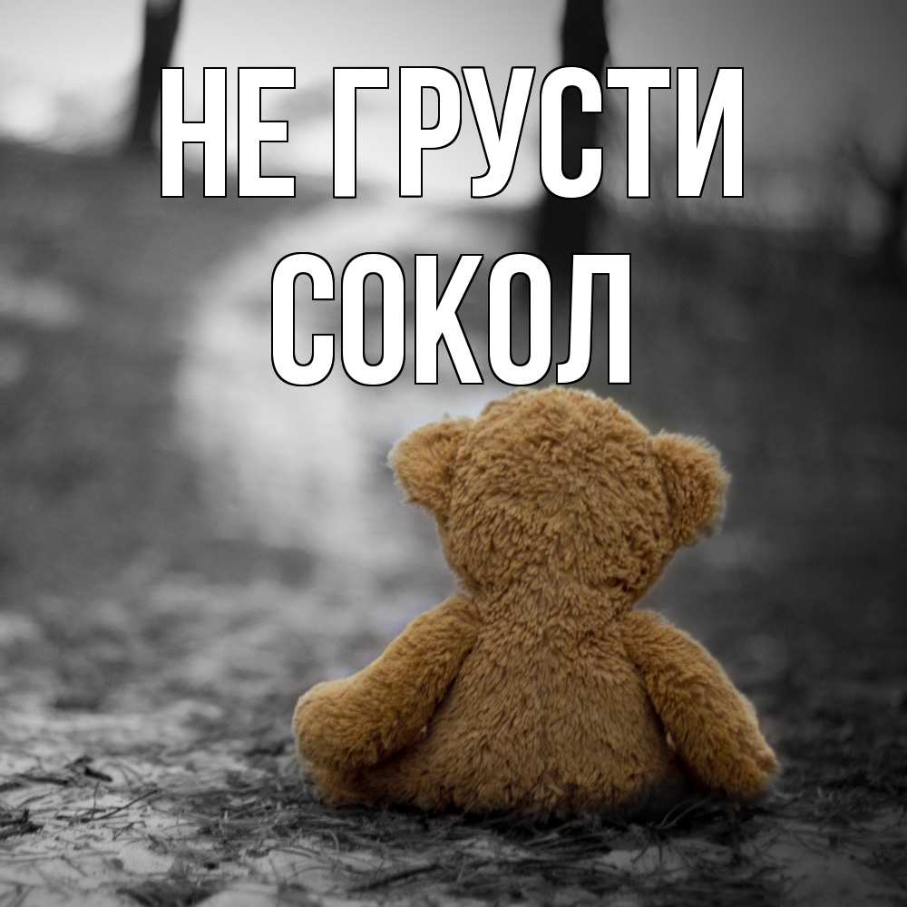 Открытка на каждый день с именем, Сокол Не грусти медведь со спин Прикольная открытка с пожеланием онлайн скачать бесплатно 