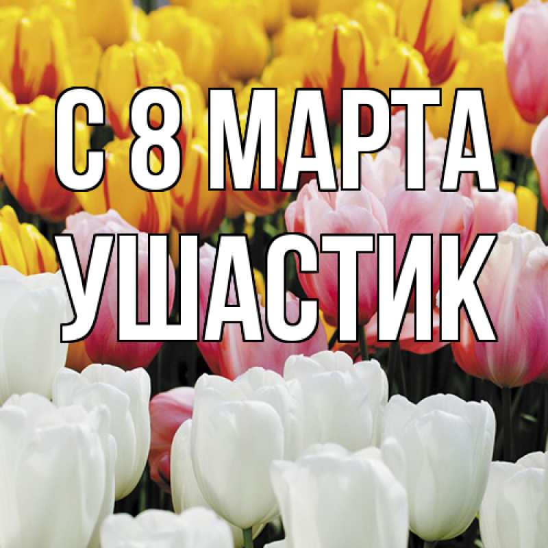 Картинка C 8 МАРТА, Ушастик