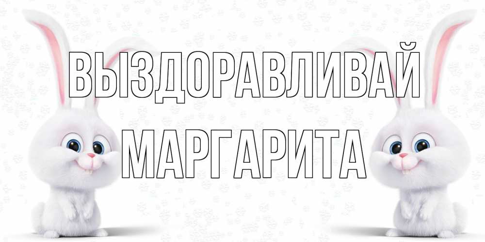 Открытка на каждый день с именем, Маргарита Выздоравливай не болей с зайцем Прикольная открытка с пожеланием онлайн скачать бесплатно 