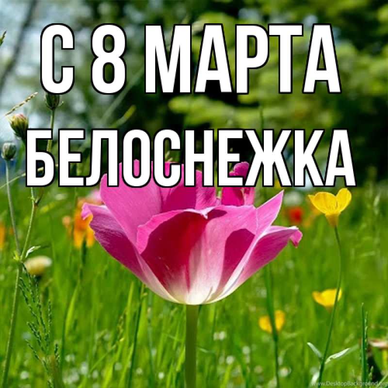 Картинка C 8 МАРТА, Белоснежка