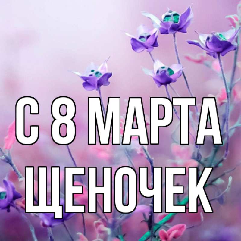 Картинка C 8 МАРТА, Щеночек