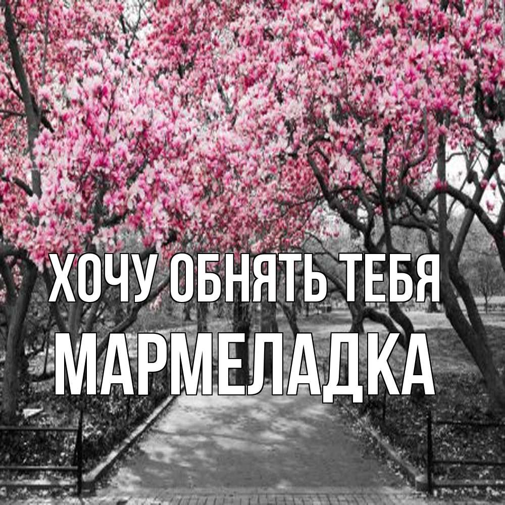 Открытка на каждый день с именем, мармеладка Хочу обнять тебя обработанное фото Прикольная открытка с пожеланием онлайн скачать бесплатно 