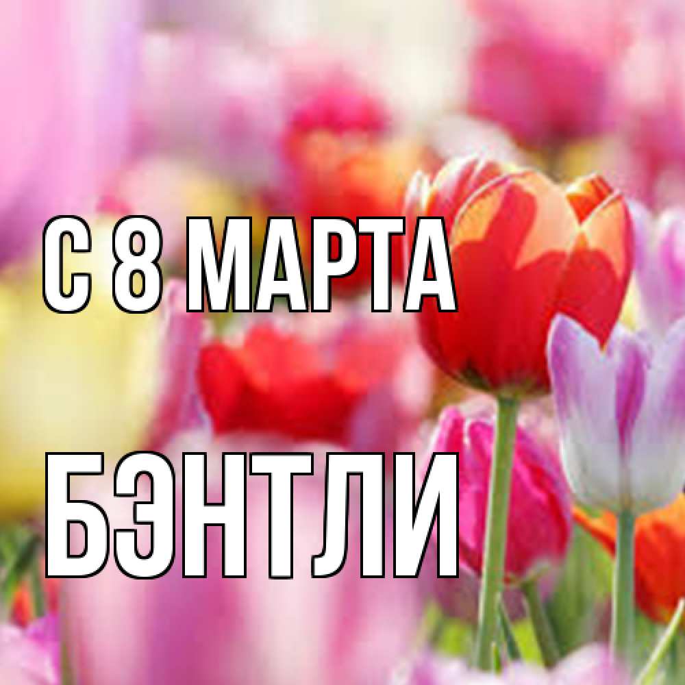 Открытка на каждый день с именем, Бэнтли C 8 МАРТА на международный женский день 2 Прикольная открытка с пожеланием онлайн скачать бесплатно 