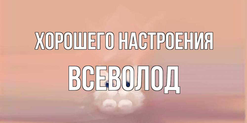 Открытка на каждый день с именем, Всеволод Хорошего настроения кошка Прикольная открытка с пожеланием онлайн скачать бесплатно 
