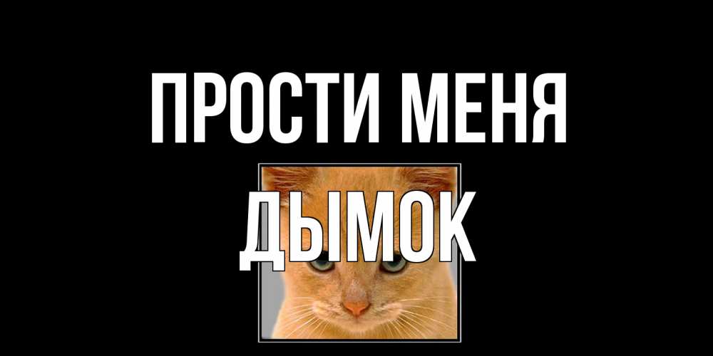 Открытка на каждый день с именем, Дымок Прости меня рыжий грустный кот просит прощения Прикольная открытка с пожеланием онлайн скачать бесплатно 