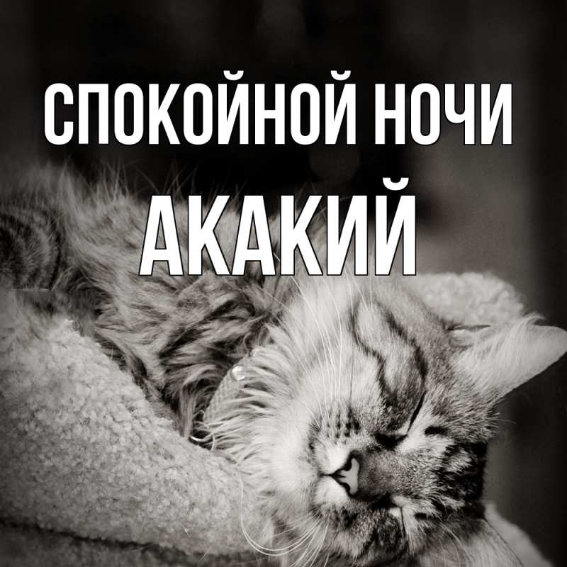 Картинка Спокойной ночи, Акакий