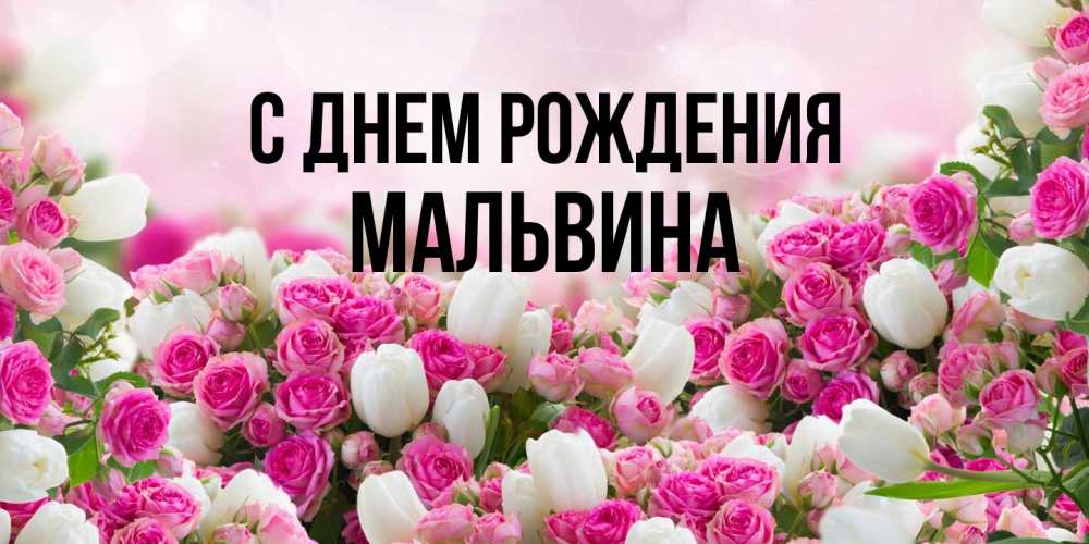 Открытка на каждый день с именем, Мальвина С днем рождения открытка с разными розами Прикольная открытка с пожеланием онлайн скачать бесплатно 