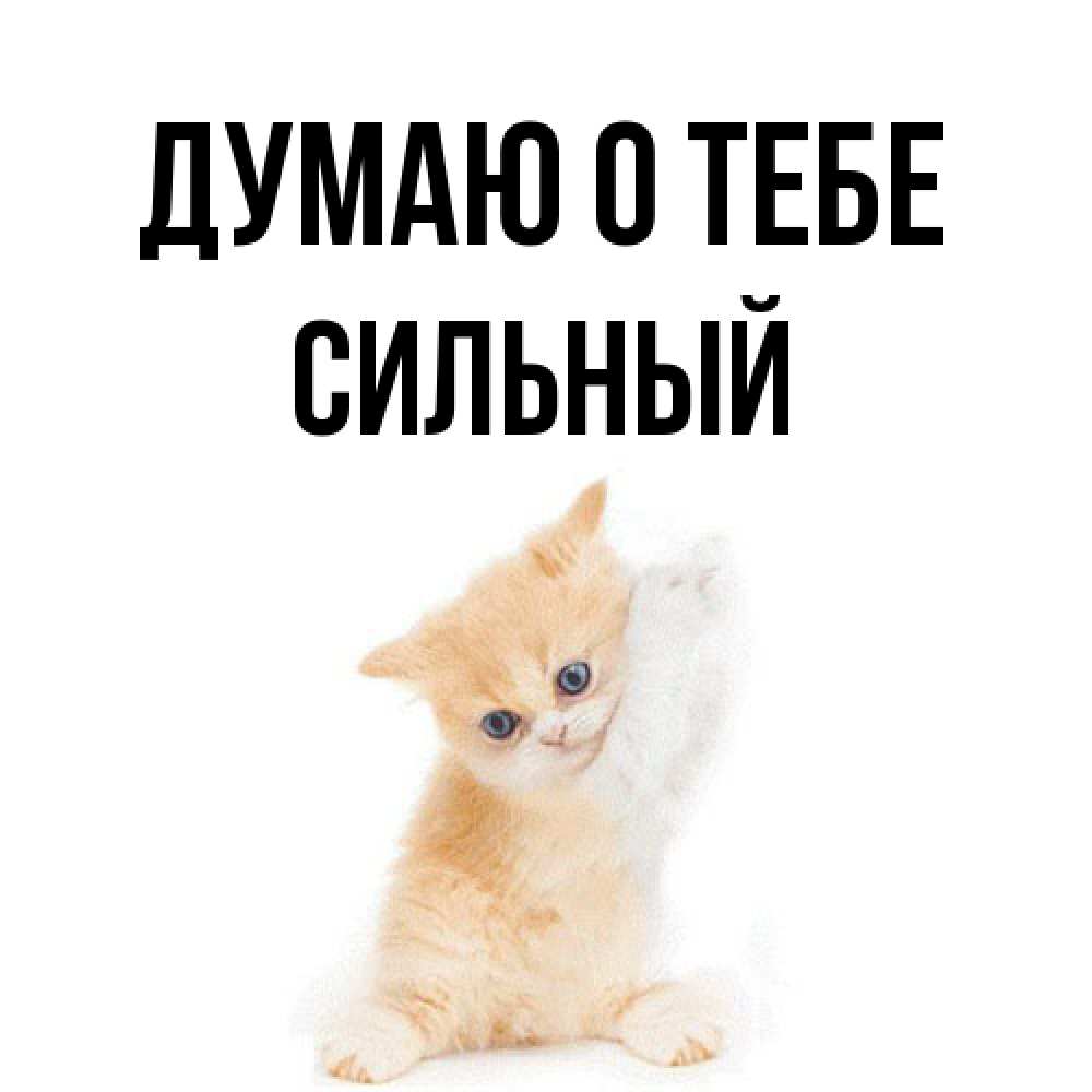 Открытка на каждый день с именем, Сильный Думаю о тебе зверушки и милота Прикольная открытка с пожеланием онлайн скачать бесплатно 