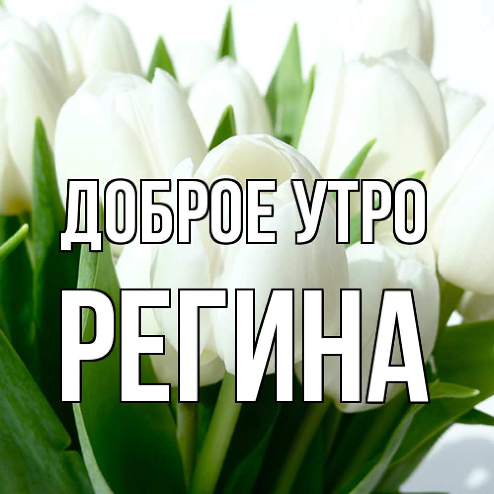 Открытка на каждый день с именем, Регина Доброе утро открытки на каждый день по именам Прикольная открытка с пожеланием онлайн скачать бесплатно 
