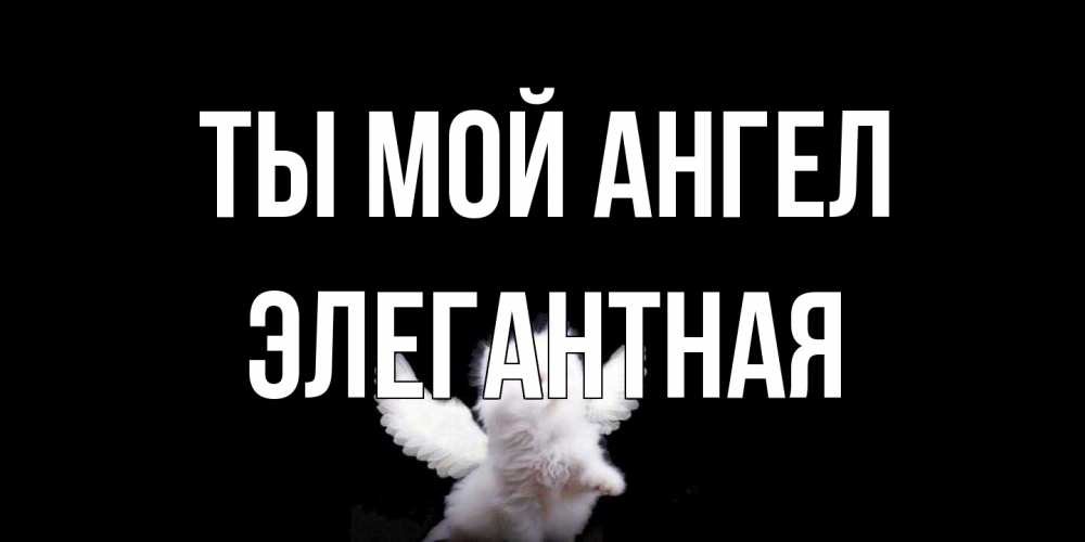 Открытка на каждый день с именем, элегантная Ты мой ангел Кот ангел Прикольная открытка с пожеланием онлайн скачать бесплатно 