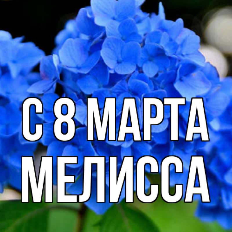 Картинка C 8 МАРТА, Мелисса