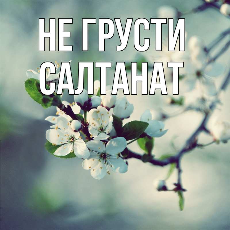 Картинка Не грусти, Салтанат
