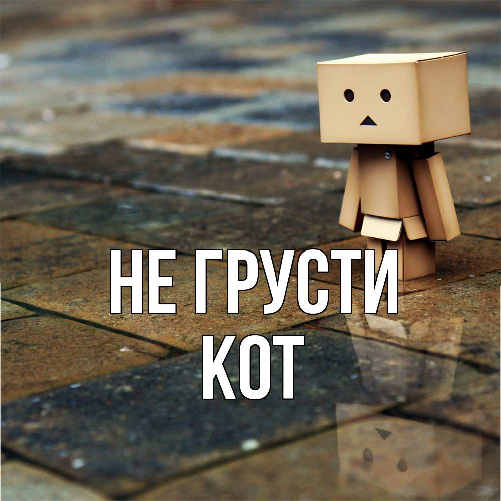 Открытка на каждый день с именем, Кот Не грусти Стив Прикольная открытка с пожеланием онлайн скачать бесплатно 