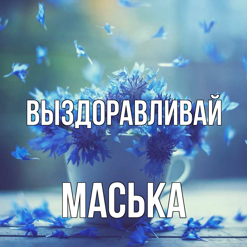 Открытка на каждый день с именем, Маська Выздоравливай кружка с зельем и цветами Прикольная открытка с пожеланием онлайн скачать бесплатно 