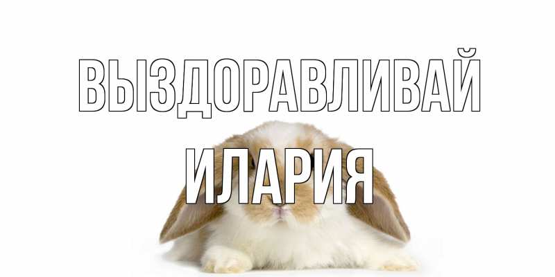 Картинка Выздоравливай, Илария