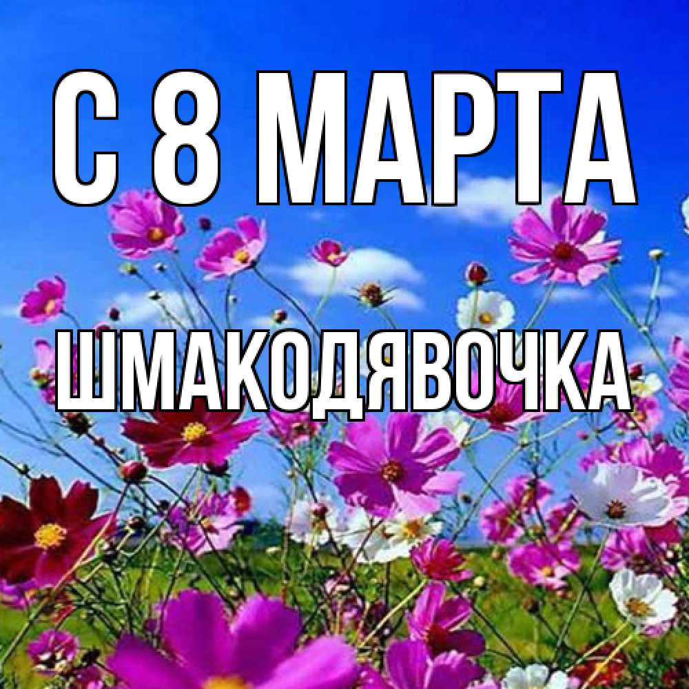 Открытка на каждый день с именем, шмакодявочка C 8 МАРТА цветы Прикольная открытка с пожеланием онлайн скачать бесплатно 
